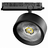 Светильник на штанге Lightstar Alta Pro A5737DALI 100_100_3076779